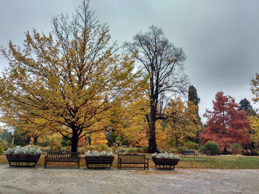 1434163717_001-QueenstownGarden005.thumb.jpg.b1b2286d817af419cc290870fbde14a5.jpg