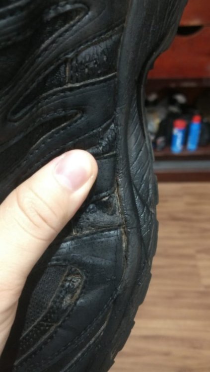 WhatsApp Image 2018-06-06 at 20.22.56.jpeg