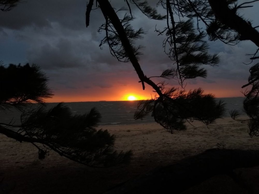 trilha Pontal de Tapes 250.jpg