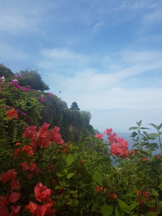 1611297353_06_cap5_uluwatu(Personalizado).thumb.jpg.b71f9ad4a678145ab0851929a49899be.jpg