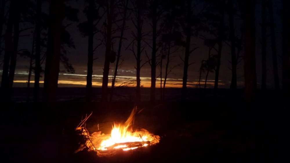 trilha Pontal de Tapes 146.jpg