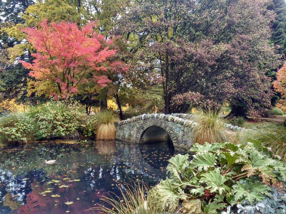 548906610_001-QueenstownGarden014.thumb.jpg.c0dce251ae4e1ecbc46f2f113202d7a9.jpg