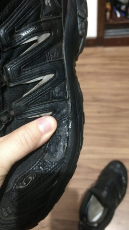 WhatsApp Image 2018-06-06 at 20.22.55.jpeg