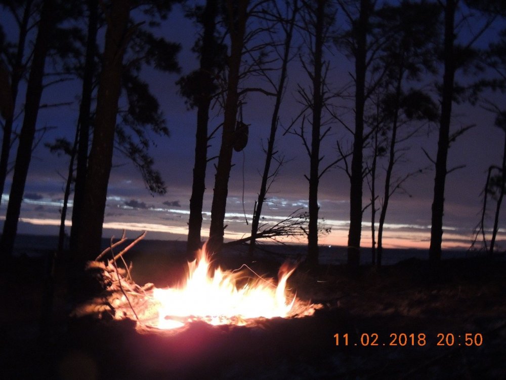 trilha Pontal de Tapes 294.jpg