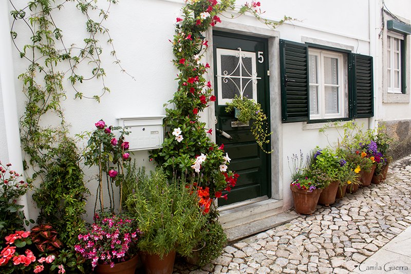 Casa-florida-em-Cascais.jpg.4e54ba416a7677459b3c616ee5f8d050.jpg