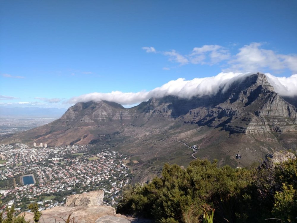 1596649412_Lionshead5.thumb.jpg.2b98f4e6c0c71ab2bd1330ef632e0576.jpg