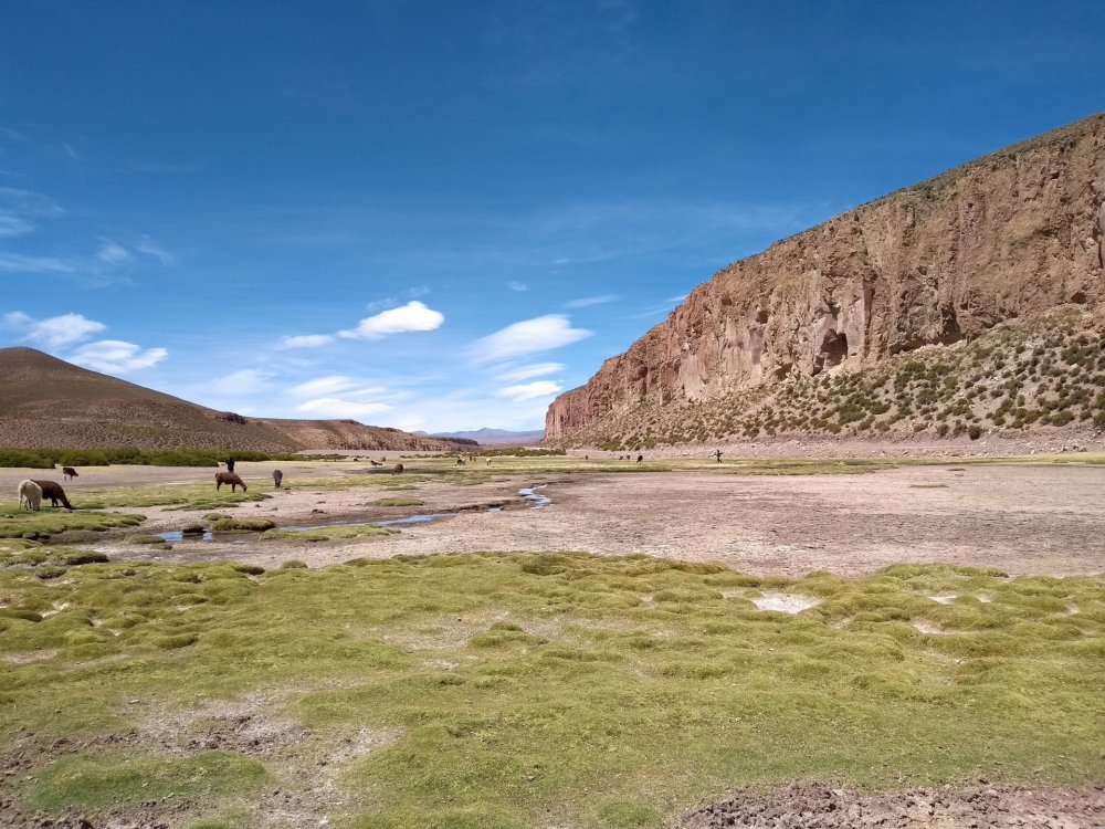 Plano de fundo do Windows