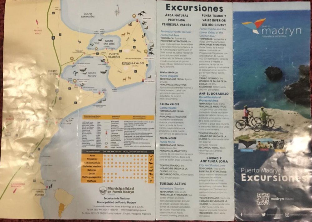 WhatsApp Image 2018-12-30 at 21.15.18 (1).jpeg