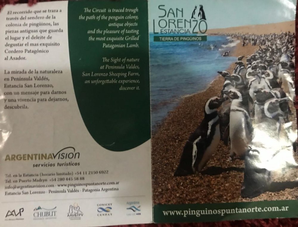 WhatsApp Image 2018-12-30 at 21.15.19 (1).jpeg