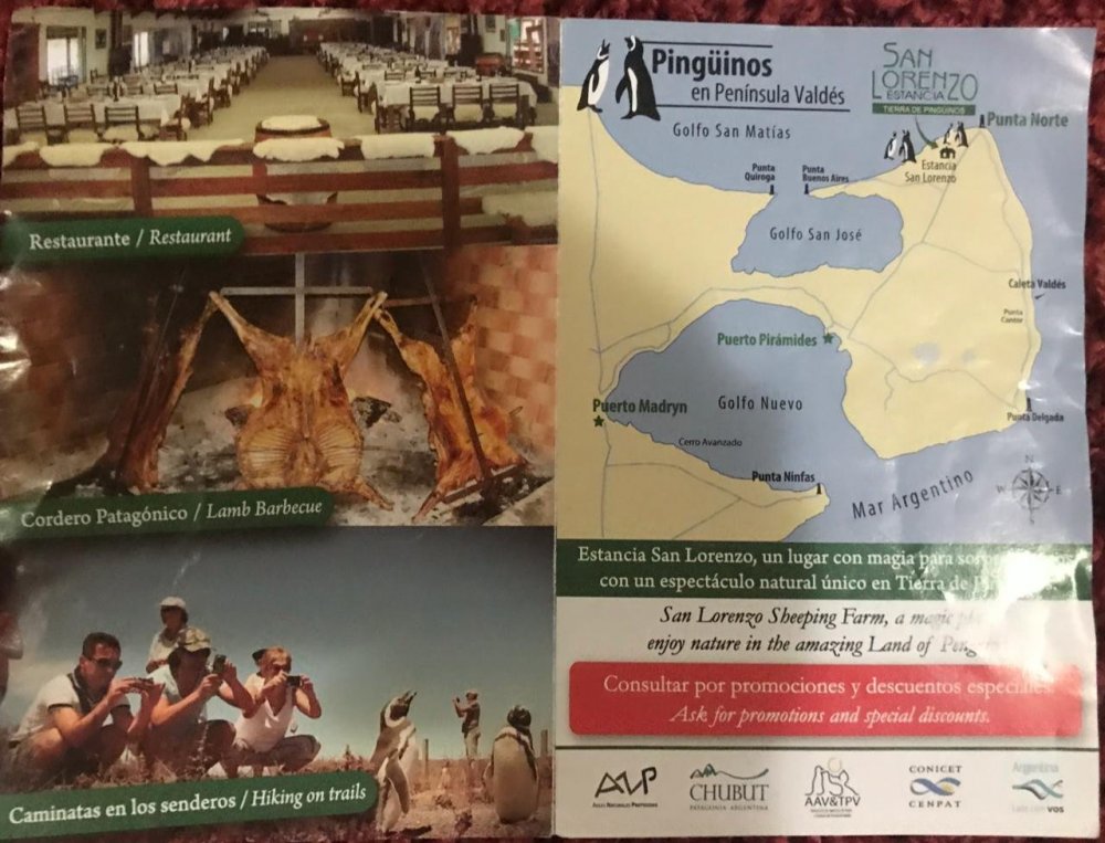 WhatsApp Image 2018-12-30 at 21.15.18.jpeg