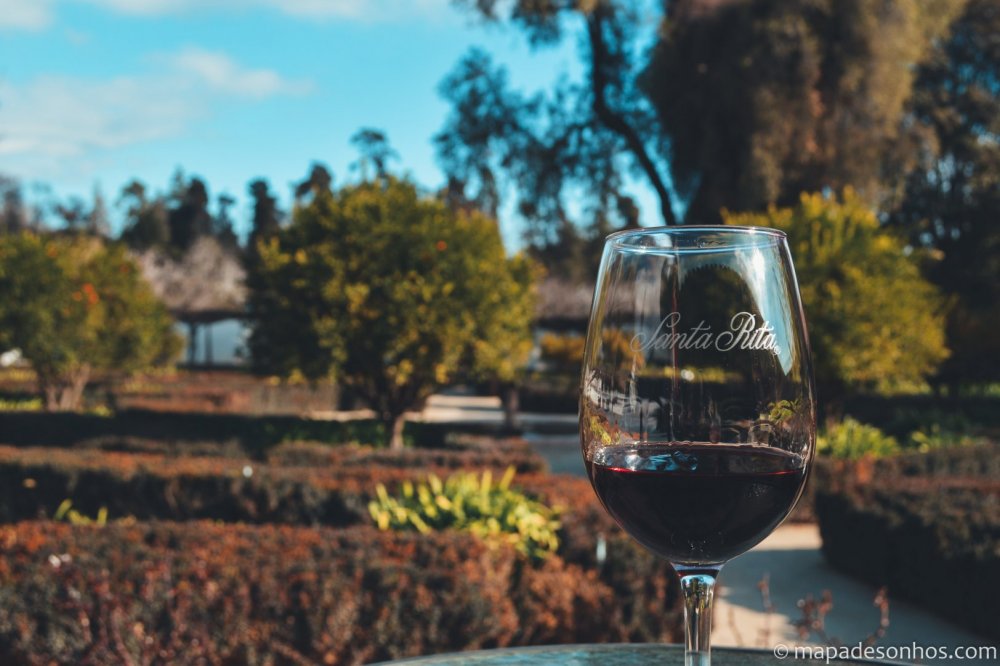 Chile Vinícola Santa Rita-30.jpg