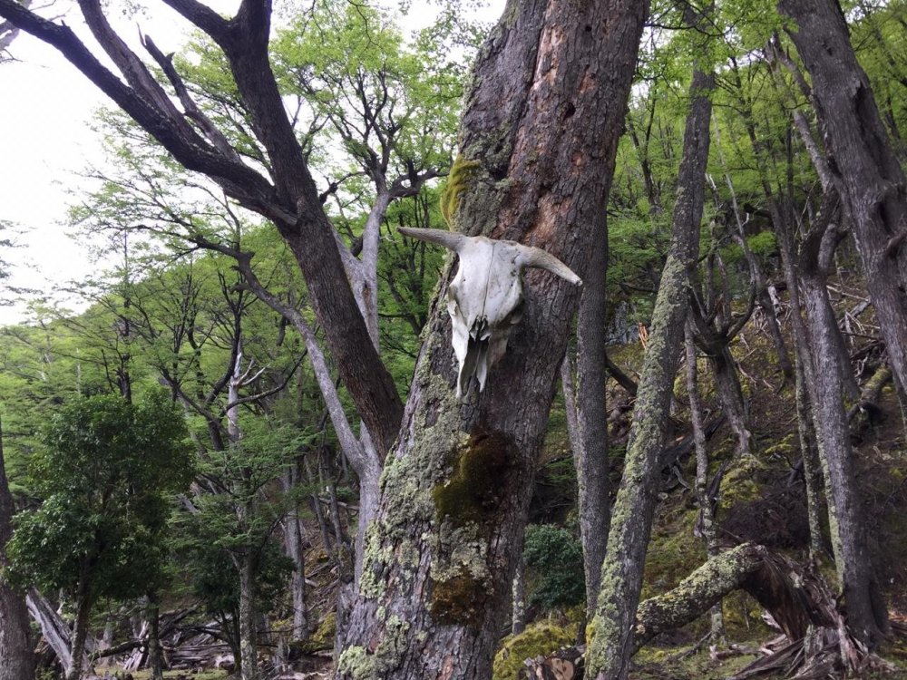 WhatsApp Image 2019-01-14 at 10.59.38.jpeg