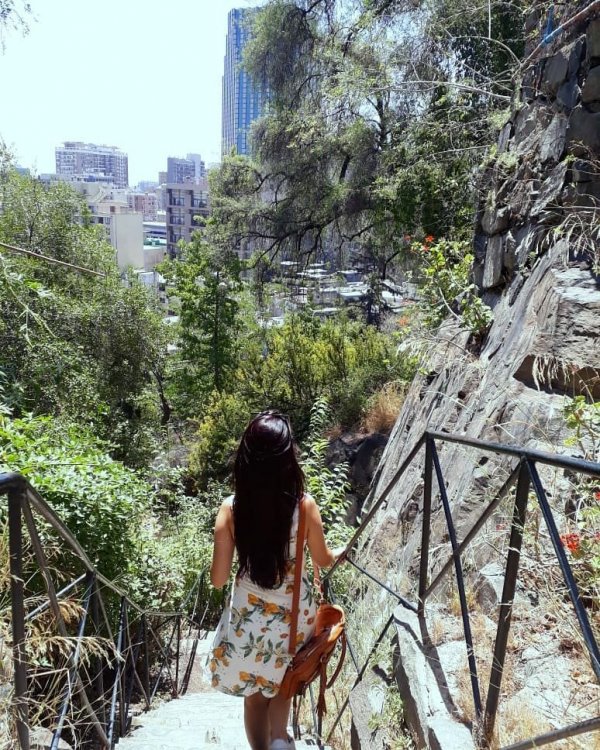 50925431_2189695307758544_8591018624565641216_o (1).jpg