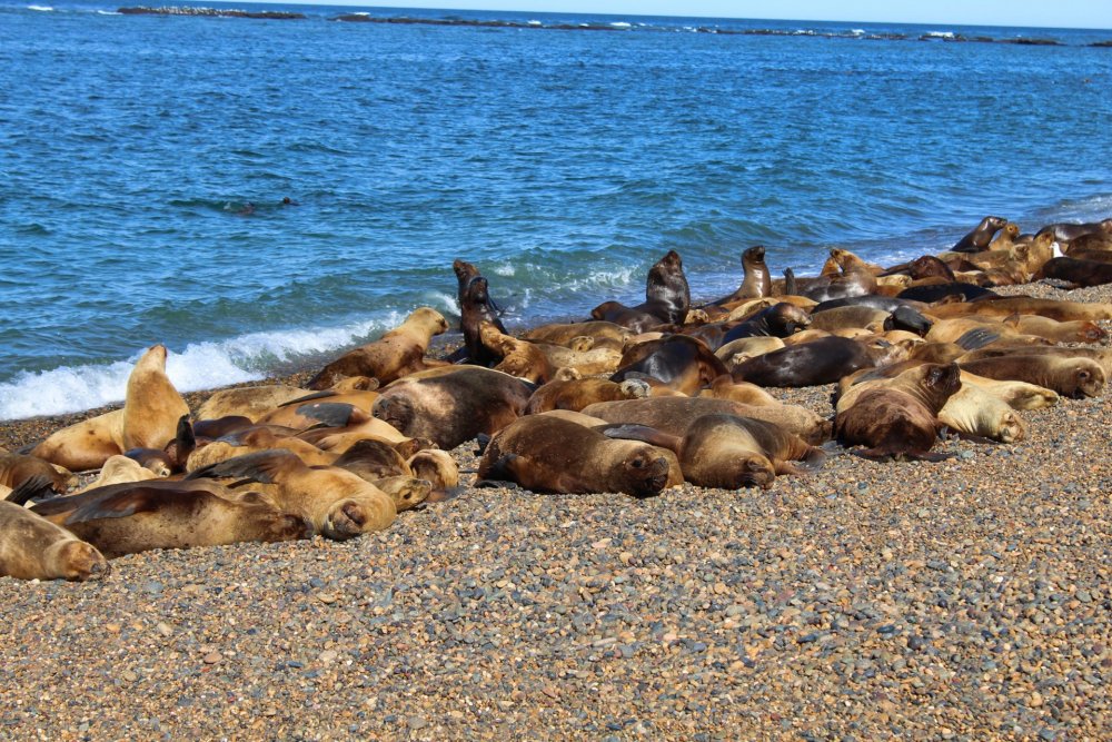 IMG_2785 - Copia.JPG