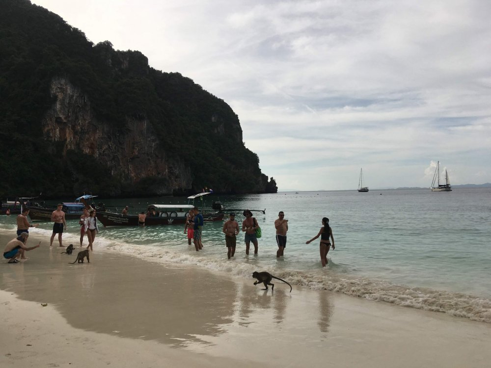 1326558943_Monkeybeach(7).thumb.jpg.7f418783dea7663bf4e868c26b8ec9ab.jpg
