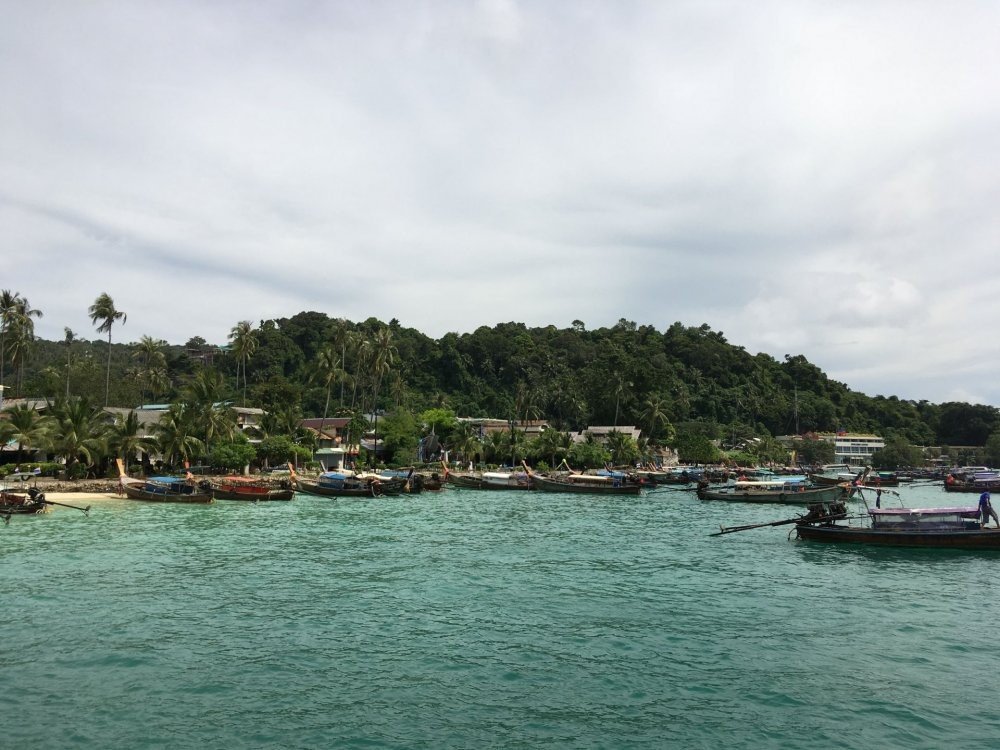 1711572375_phiphi6.jpg.75f9aced59e3f0e712de7d4f19bca202.jpg