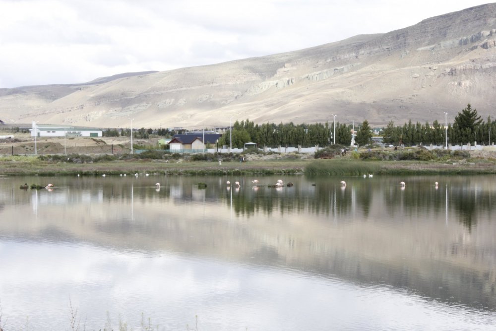 Laguna Nimez e flamingos