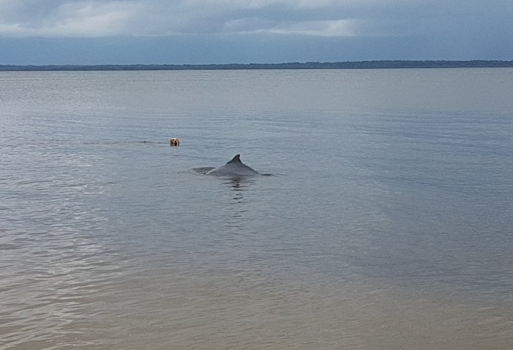 Ilha do Cardoso (6).jpg