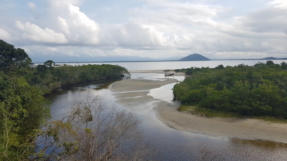 Ilha do Cardoso (1).jpg