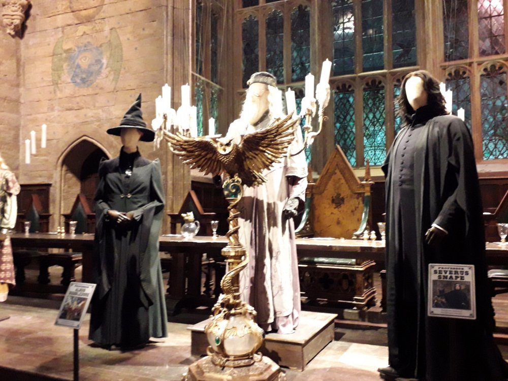 1854697750_Dia4-HarryPotter(36).thumb.jpg.6a08f9fbe1d4fff2fcc8e56a4108038a.jpg