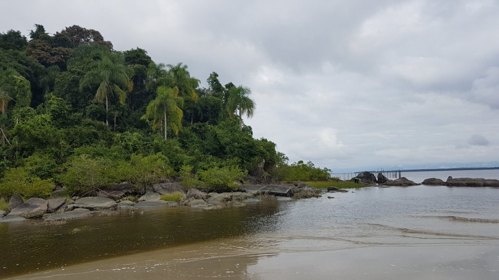 Ilha do Cardoso (2).jpg