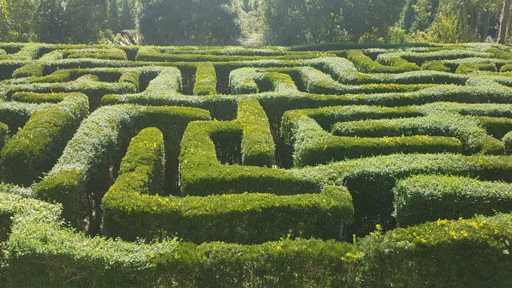 Campos do Jordão (3).jpg