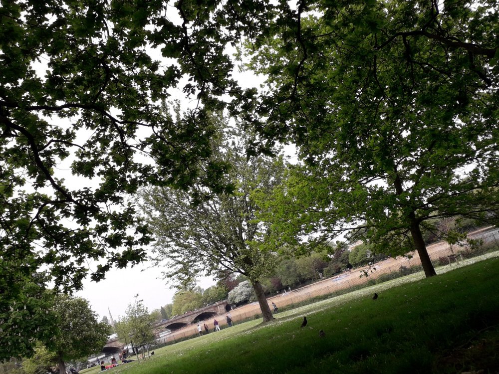 Dia_5_-_Hyde_Park_(12).thumb.jpg.1152e98cb56ab7c220ec3ed083bbc301.jpg