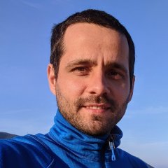 fabio.p.manfredini