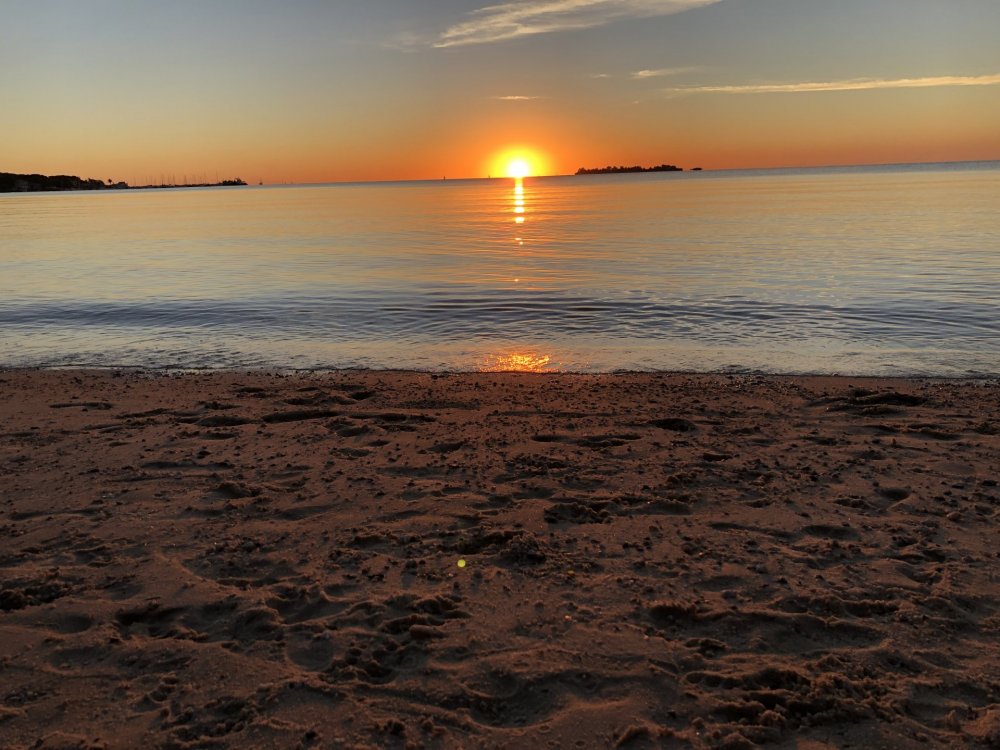 Backup 09012019 609.JPG