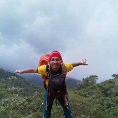 Hallex Aedo