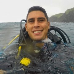 pedrovini.silva