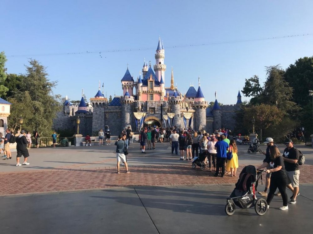 WhatsApp Image 2020-01-11 at 17.39.17 (2).jpeg