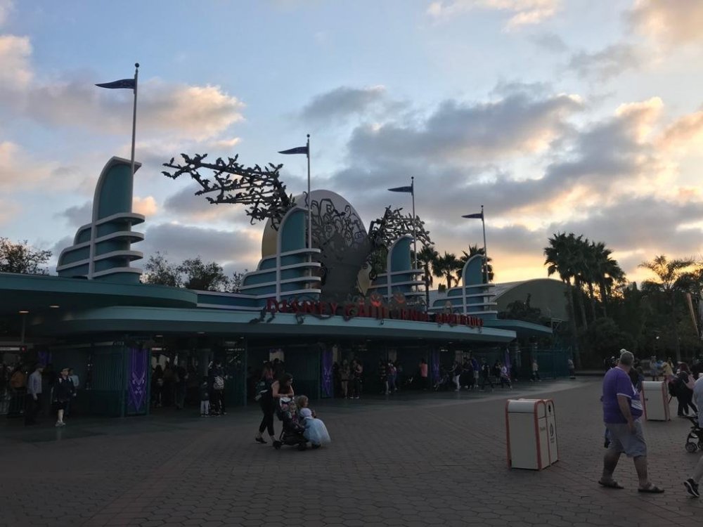 WhatsApp Image 2020-01-11 at 16.20.47 (1).jpeg