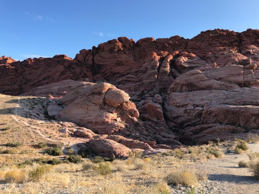 WhatsApp Image 2020-01-12 at 14.34.49 (4).jpeg