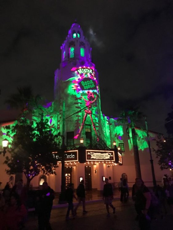 WhatsApp Image 2020-01-11 at 16.20.48 (4).jpeg