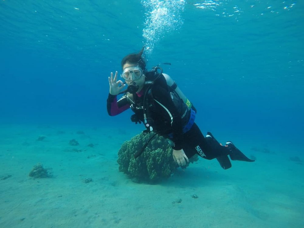 545888688_MergulhoEilat.thumb.jpg.20ae191345bfb1e69eb7e3061285360a.jpg