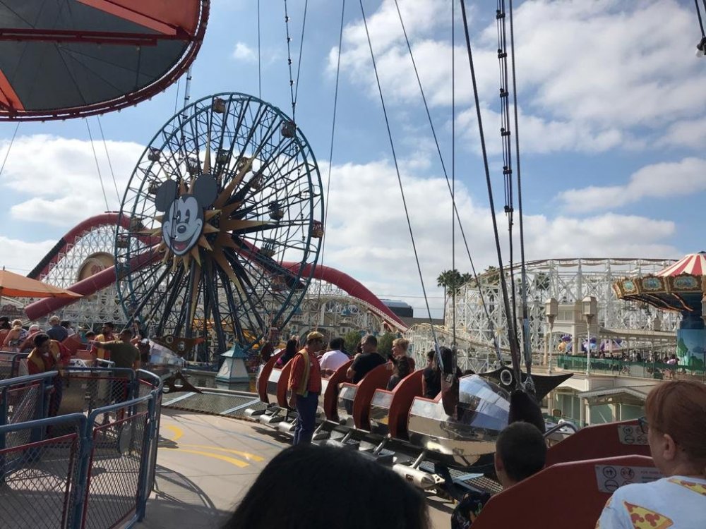 WhatsApp Image 2020-01-11 at 16.17.52 (3).jpeg