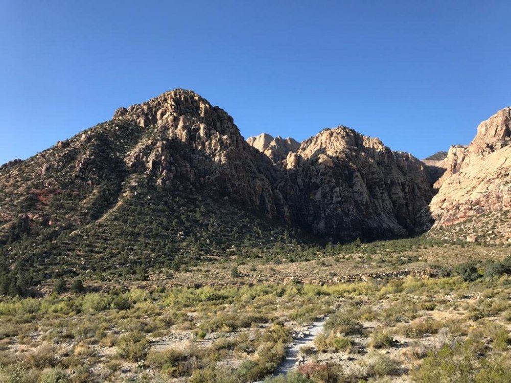 WhatsApp Image 2020-01-12 at 14.34.50 (2).jpeg