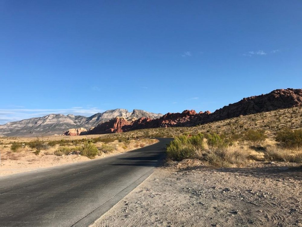 WhatsApp Image 2020-01-12 at 14.34.49 (2).jpeg