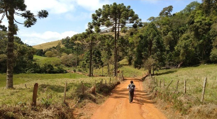 MANTIQUEIRA: CAMINHO DE NHÁ CHICA
