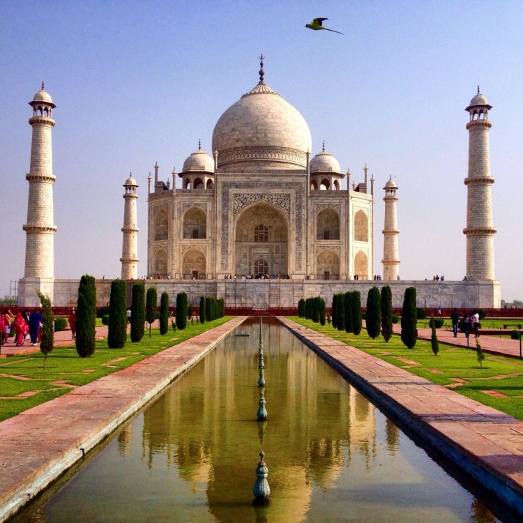 2015-04-30 08.10.02-2.jpg