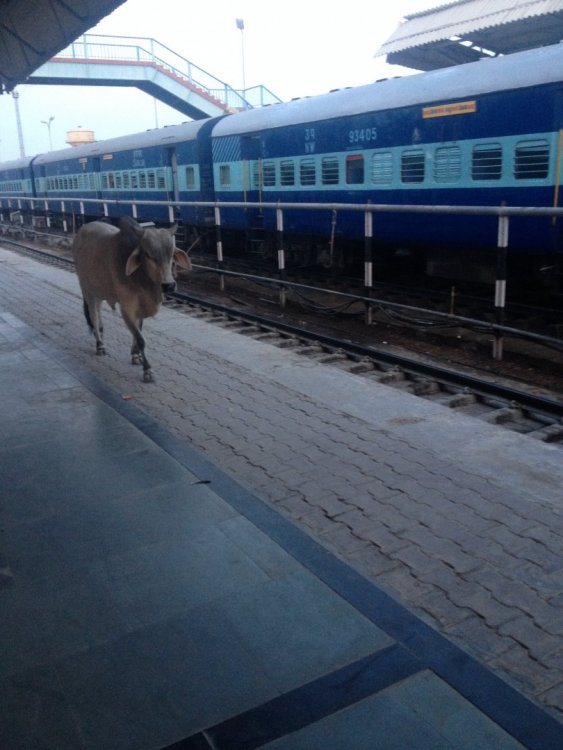 2015-05-07 05.58.15.jpg