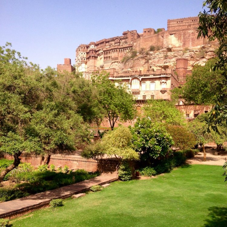 2015-05-07 15.35.20-1.jpg