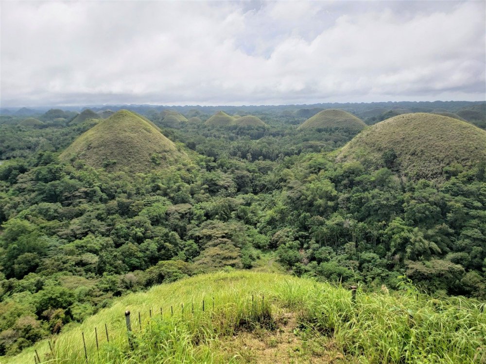 WhatsApp Image 2020-08-07 at 09.35.56.jpeg