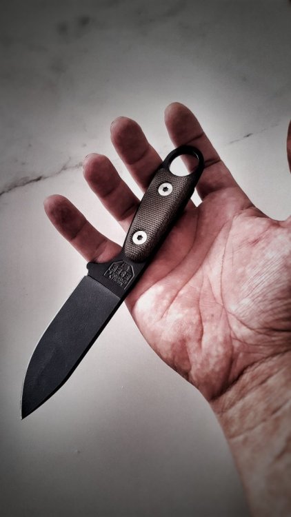 IMG_20210305_142659988_HDR-01 (1).jpeg