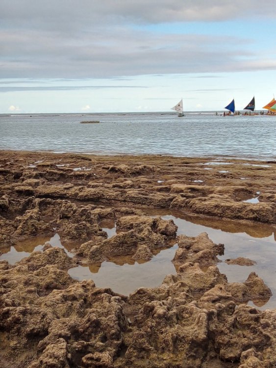 piscina formada perto da praia