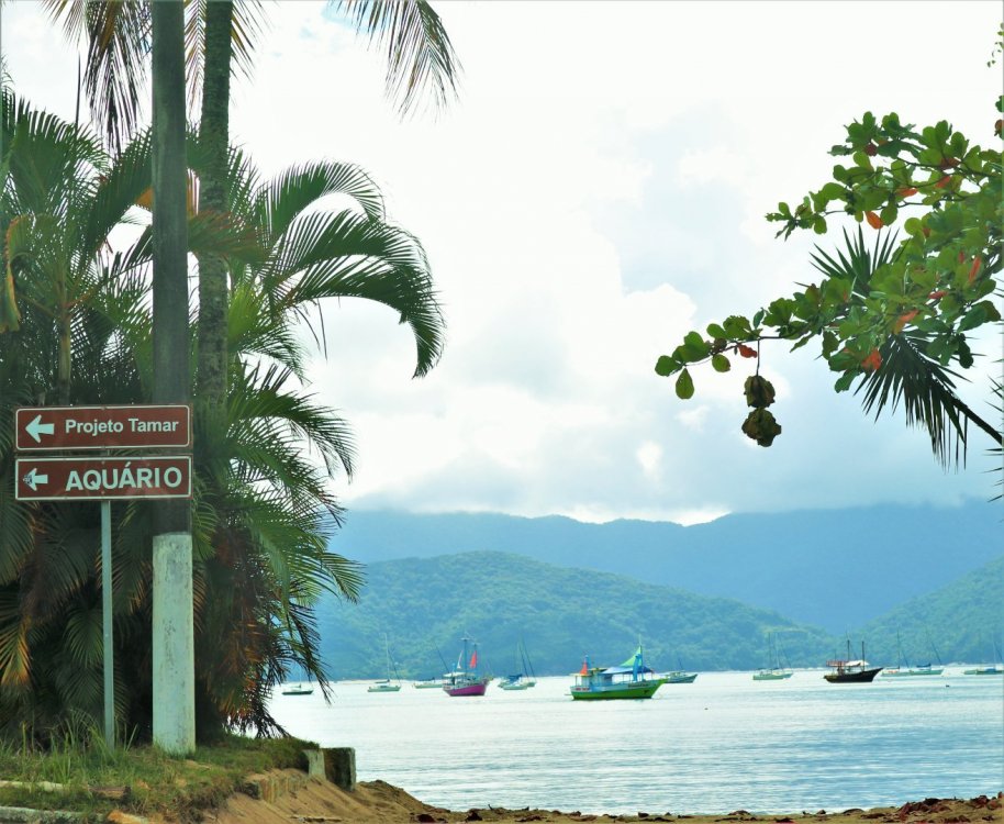 barcos placa aquario e tamar.jpg