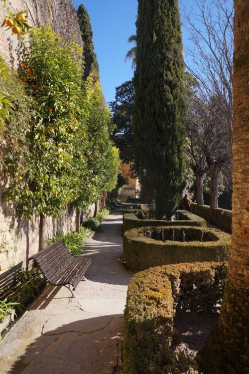 Alhambra-JAN-2022 (218).JPG