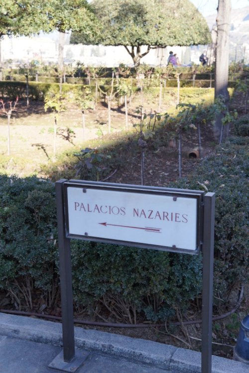 Alhambra-JAN-2022 (161).JPG