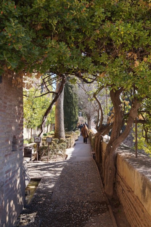 Alhambra-JAN-2022 (217).JPG